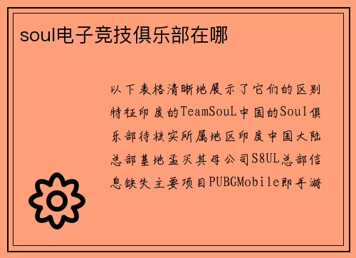 soul电子竞技俱乐部在哪